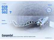 Gaspedal PEUGEOT 206 Schrägheck (2A/C) 0280755027