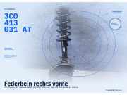 Federbein rechts vorne VW Passat B7 Variant (365) 3C0413031AT