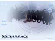 Federbein links vorne ROVER 200 (RF)