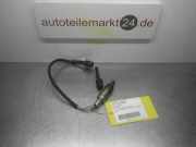 Lambdasonde PEUGEOT 205 I Cabriolet (741B, 20D) 0258003074