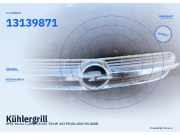 Kühlergrill OPEL Vectra C (Z02) 13139871