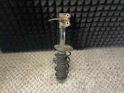 Federbein rechts vorne FIAT Punto (199) 51796545