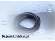 Türgummi rechts vorne VW Sharan (7M)