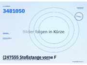 (247555 Stoßstange vorne FIAT Ducato (230) 3481050) 3481050