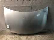Motorhaube VW Polo IV (9N, 9A)