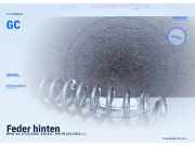 Feder hinten BMW 1er (F20) GC