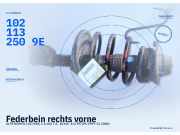 Federbein rechts vorne ALFA ROMEO 145 (930) 1021132509E