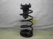 Feder hinten FIAT Punto (188)
