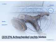 (221376 Achsschenkel rechts hinten MERCEDES-BENZ Vito/Mixto Kasten (W639)