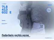Federbein rechts vorne AUDI Q7 (4L) 7L8413032E