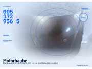 Motorhaube FIAT Croma (194) 0051729565