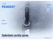 Federbein rechts vorne PEUGEOT 407 SW PEUGEOT