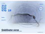 Stabilisator vorne BMW X5 (E53) 31351097019