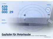 Gasfeder für Motorhaube MERCEDES-BENZ CLK Cabriolet (A209) A2038800029