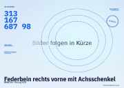 Federbein rechts vorne mit Achsschenkel BMW 5er Touring (E61) 31316768798