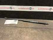 Heckklappendämpfer FIAT Grande Punto (199) 51778432