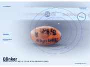 Blinker FORD Fiesta IV (JA, JB)