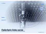 Federbein links vorne SMART Forfour (454)