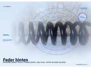 Feder hinten MERCEDES-BENZ C-Klasse T-Modell (S203)