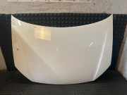 Motorhaube VW Polo IV (9N, 9A)