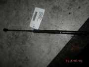 Heckklappendämpfer FIAT Punto Van (188) 13220159