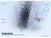 Federbein VW Polo III (6N)