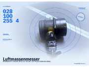 Luftmassenmesser HYUNDAI H-1 Kasten (H-1) 0281002554