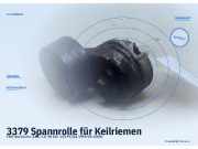 Spannrolle für Keilriemen FIAT Barchetta (183)