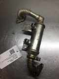 Abgaskühler FORD Transit Connect (P*2) 4M5Q9F464BD