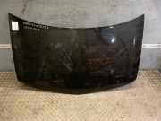 Motorhaube RENAULT Megane II Coupe/Cabriolet (EM) RENAULT