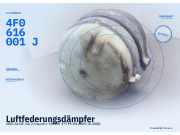 Luftfederungsdämpfer AUDI A6 (4F, C6) 4F0616001J