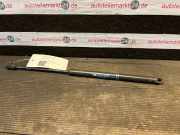 Heckklappendämpfer CITROEN C3 I (FC) 9639853880