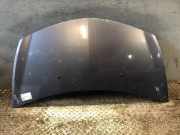 Motorhaube RENAULT Clio III (R) 7751476113