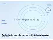 Federbein rechts vorne mit Achsschenkel VW Polo (9A, 9N)