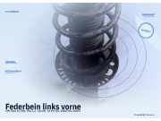 Federbein links vorne VW Polo IV (9N, 9A)