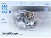 Drosselklappe AUDI A2 (8Z) 036133062B