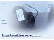 Achsschenkel links vorne MERCEDES-BENZ C-Klasse T-Modell (S203)