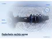 Federbein rechts vorne VW Golf IV (1J)