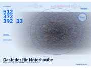 Gasfeder für Motorhaube BMW 1er (F20) 51237239233