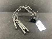 Zündspule RENAULT Modus - Grand Modus (P) 8200702693 1907