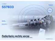 Federbein rechts vorne VW Passat B5.5 Variant (3B6) 557833
