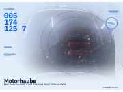 Motorhaube FIAT Punto Van (188) 0051741257