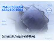 Sensor für Gaspedalstellung PEUGEOT 206 Schrägheck (2A/C) 9643365680 445821001001