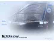 Tür links vorne FIAT Punto (176)