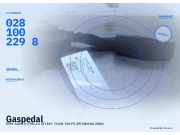 Gaspedal OPEL Zafira A 0281002298