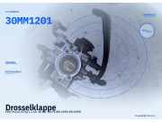 Drosselklappe FIAT Punto (176) 30MM1201