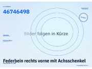 Federbein rechts vorne mit Achsschenkel Fiat Punto (188) 46746498