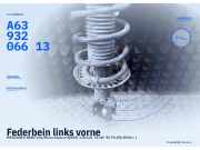 Federbein links vorne MERCEDES-BENZ Vito/Mixto Kasten (W639) A6393206613