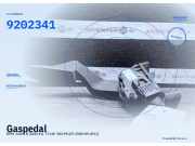 Gaspedal OPEL Zafira B (A05) 9202341