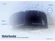 Motorhaube SMART Forfour (454)
